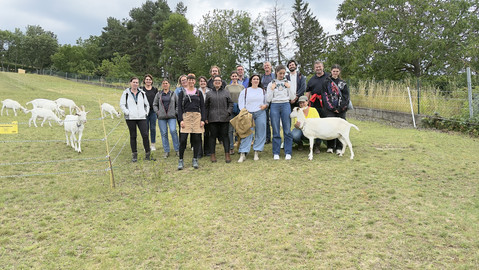 Die Gruppe von Lehrlingen und betreuenden Personen sowie Vertreter*innen der Stabsstelle AN-Schutz und Gesundheit und des Betriebsrates befindet sich auf einer Wiese mit Ziegen
