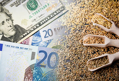 © iStock (iStock) Oat price background. Upcoming food crisis. Wheat price raising. Food cost symbolic background. Agriculture industry grow. High price of grain.