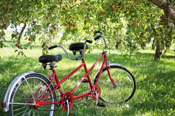 © pixabay.com (CC0 Public Domain) tandem