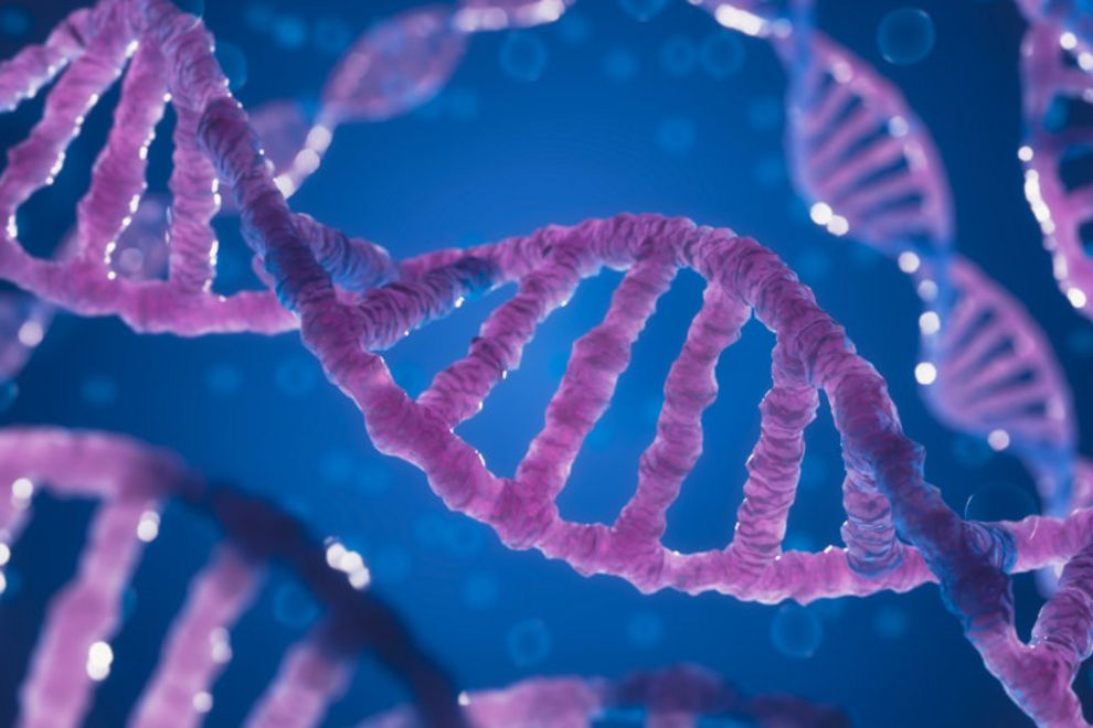 DNA structure. DNA biotechnology science medicine genetic concept. 3D Rendering