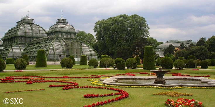Palmenhaus Palmenhaus