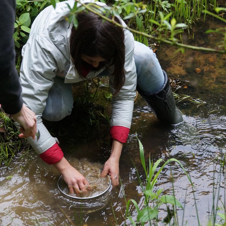 Laboruntersuchung von Flusssedimenten. Eine Person analysiert Wasserproben