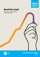 © 2024 United Nations Environment Programme